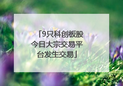 9只科创板股今日大宗交易平台发生交易