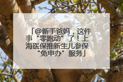 @新手爸妈，这件事“零跑动”了！上海医保推新生儿参保“免申办”服务