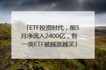ETF投资时代，前5月净流入2400亿，有一类ETF被越涨越买