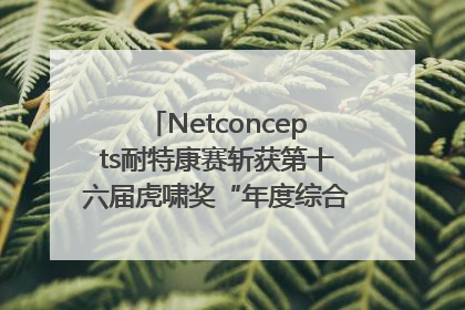 Netconcepts耐特康赛斩获第十六届虎啸奖“年度综合服务商”大奖